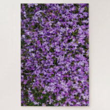 Violette Blüten im Aufbruch – 1014 Teile Lila Phlo