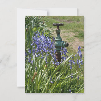 violette Blüten rund um den Vintagen Wasserspigot Postkarte