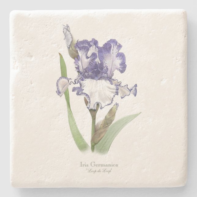 Violette gekrauste Iris Steinuntersetzer (Vorderseite)