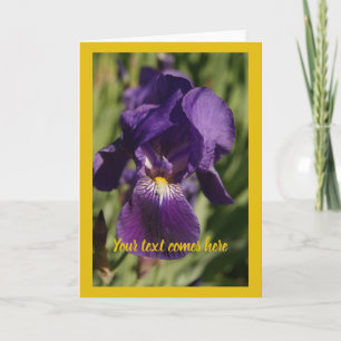 violette Irisblende - Karte