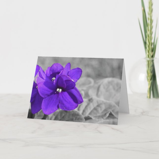 Violette Karte (Vorderseite)