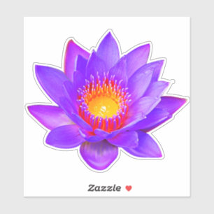 Violette Lotusblumen-Aufkleber Aufkleber