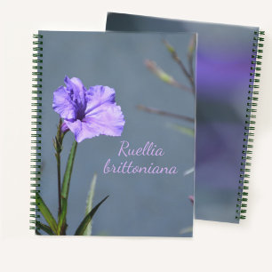 Violette Mexikanische Petunie Blumig Anpassbar Notizbuch
