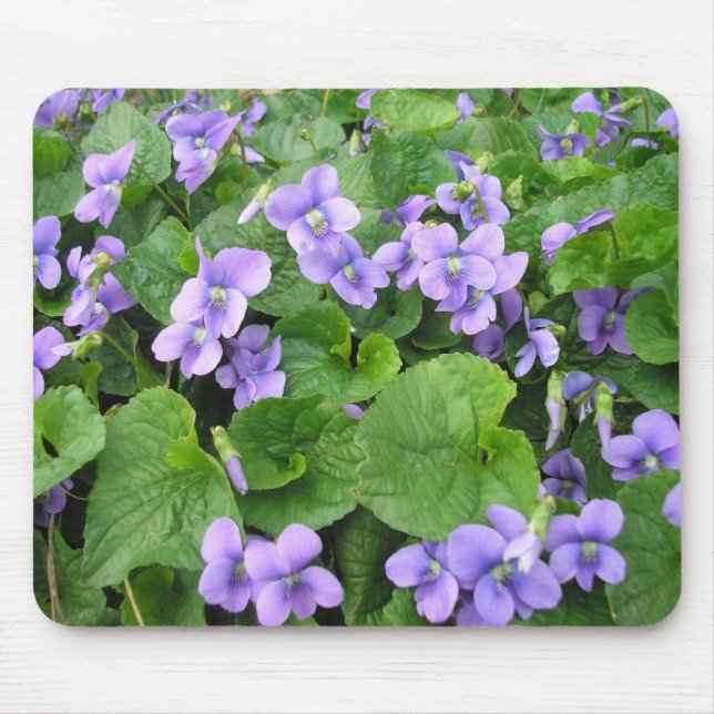 Violette Mousepad (Vorne)