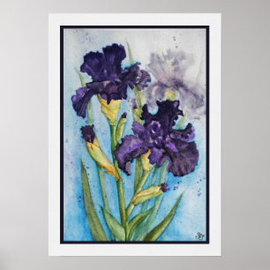 Violette Schwertlilie des Frühlings Poster