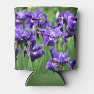 Violette sibirische Iris, Caesars Bruder Dosenkühler