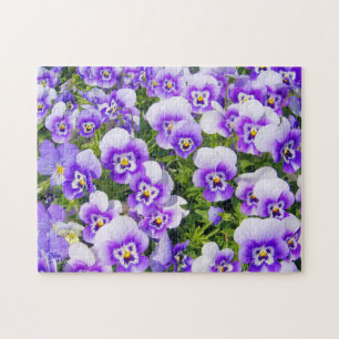 Violette Stiefmütterchen Puzzle