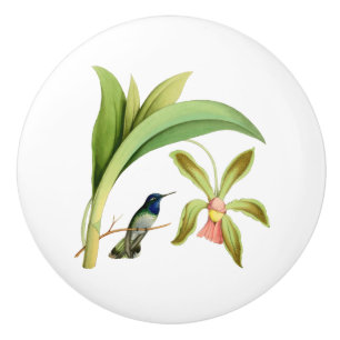 Violette vorangegangene Kolibri-Vintage Keramikknauf