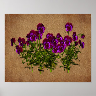 Violetten auf einem Blatt Blumengesteck Poster