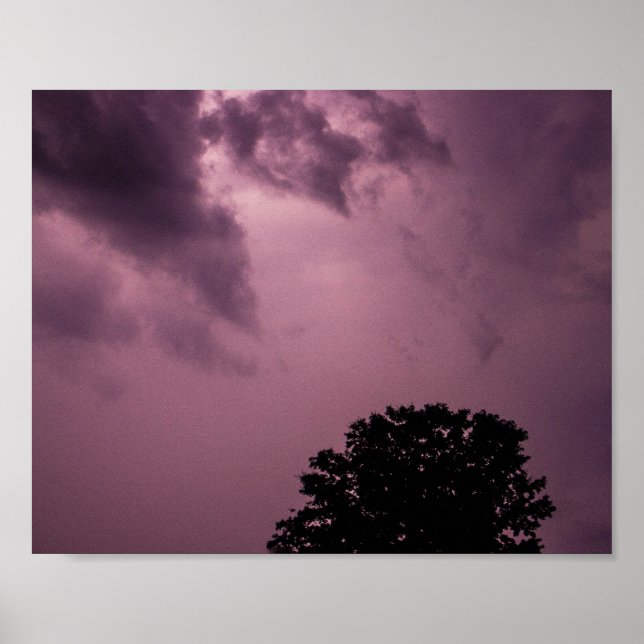 Violetter Sturm Poster (Vorne)