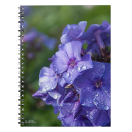 Violettes Blumennotizbuch mit dem Tau des Morgens Notizblock