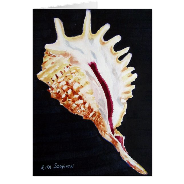 Violettes Spinnentritonshorn (Vorne)