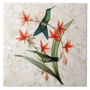 Violettkronen-Waldnymphe-Kolibri-Keramikfliese Fliese