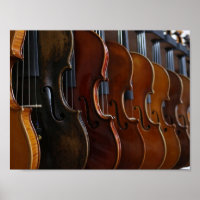 Violin Lineup