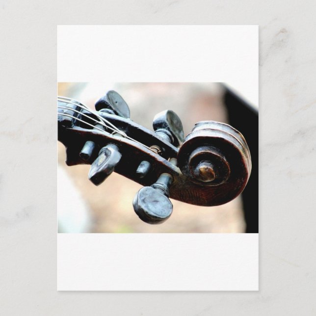 Violin Postkarte (Vorderseite)