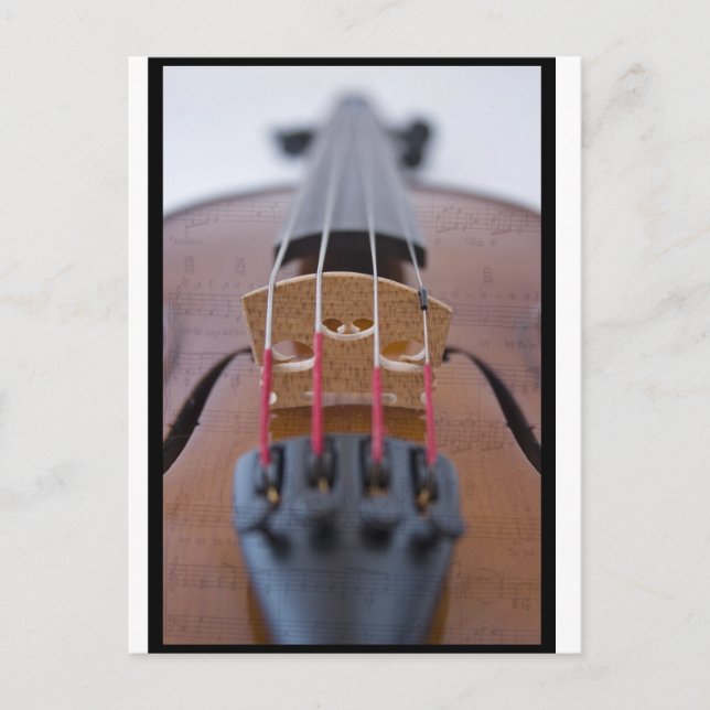 Violin Postkarte (Vorderseite)