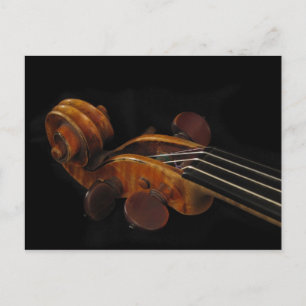 Violin Scroll Postkarte