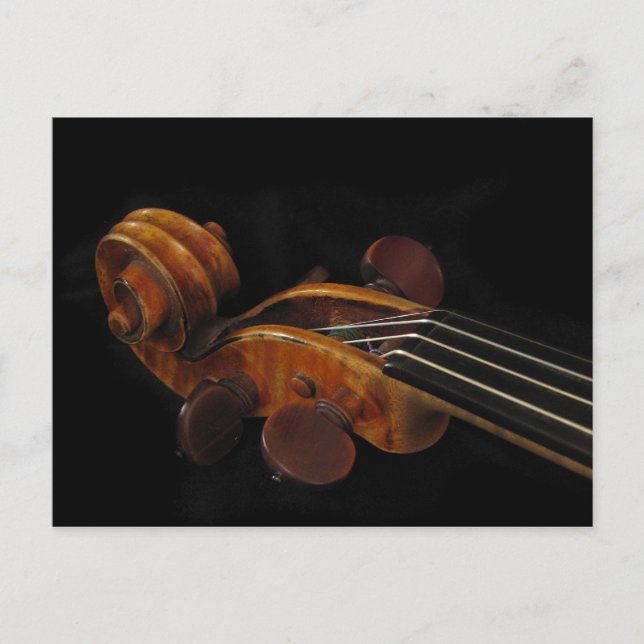 Violin Scroll Postkarte (Vorderseite)