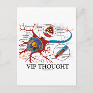 VIP-Gedanken (Neuron/Synapse-Spaß) Postkarte