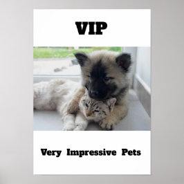 VIP Sehr beeindruckende Haustiere Niedliches Katze Poster