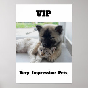 VIP Sehr beeindruckende Haustiere Niedliches Katze Poster