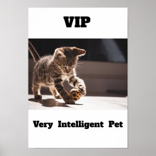 VIP Sehr intelligentes Pet Adler Katzenposter Poster