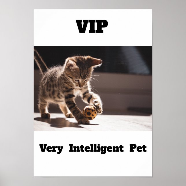 VIP Sehr intelligentes Pet Adler Katzenposter Poster (Vorne)
