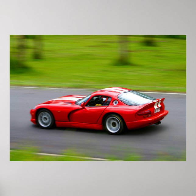 Viper Fang Poster (Vorne)