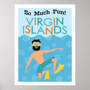 Virgin- Islandsspaß-Hipster-Reise Poster