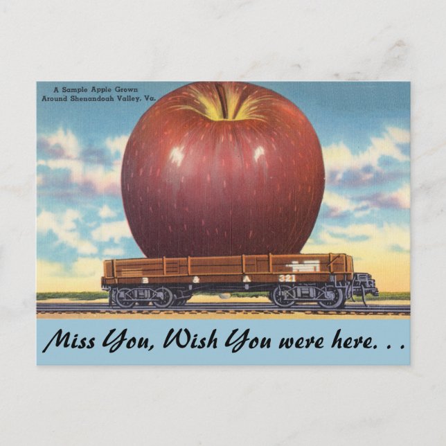 Virginia, Apple, Shenandoah Valley Postkarte (Vorderseite)