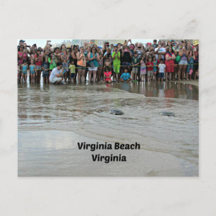 Virginia Aquarium Sea Turtle Release Postkarte