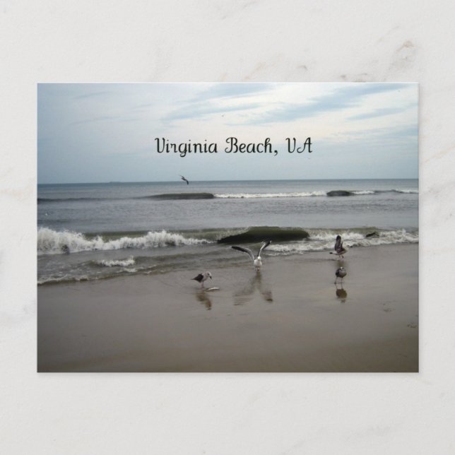 Virginia Beach, VA Postkarte (Vorderseite)