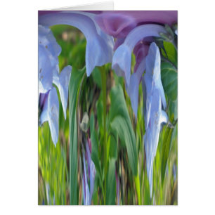 Virginia Bluebells Abstrakt