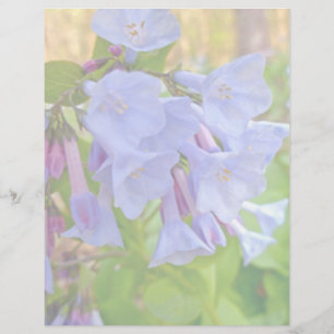 Virginia Bluebells Koordinationselemente