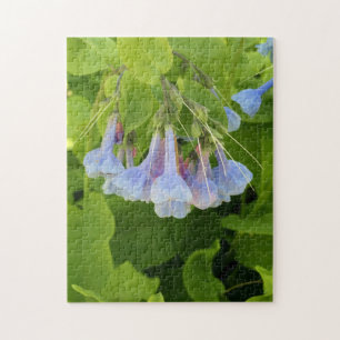 Virginia Bluebells Puzzle