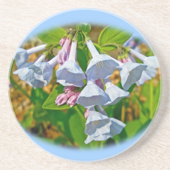 Virginia Bluebells Wildblume Getränkeuntersetzer (Vorne)