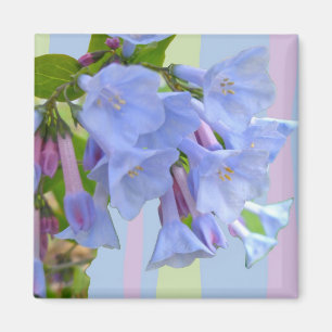 Virginia Bluebells Wildblume Magnet