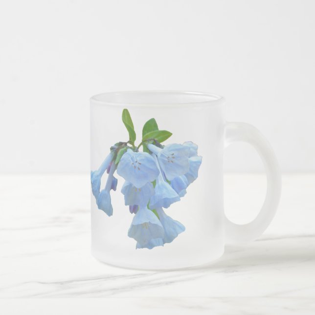 Virginia Bluebells Wildblume Mattglastasse (Rechts)