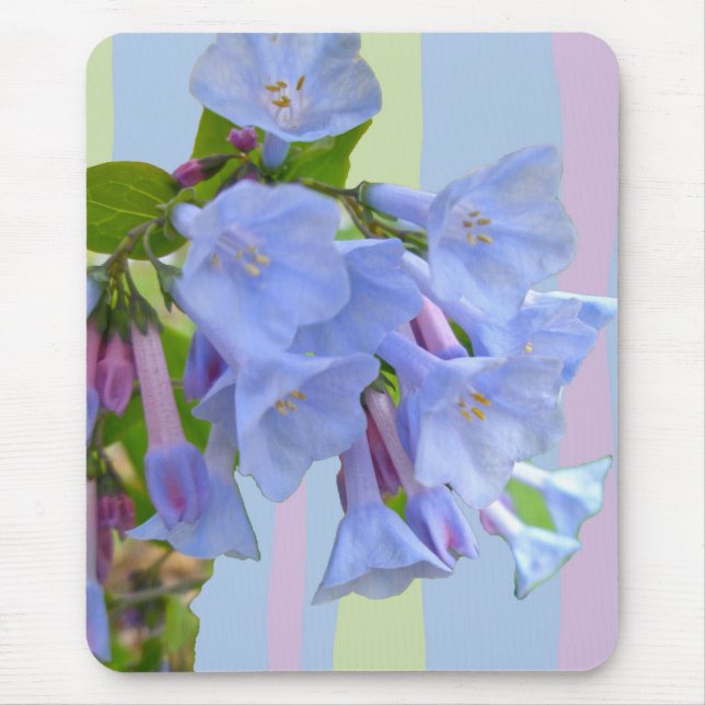 Virginia Bluebells Wildblume Mousepad (Vorne)