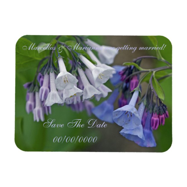 Virginia Bluebells Wildblumen - Save the Date Magnet (Horizontal)
