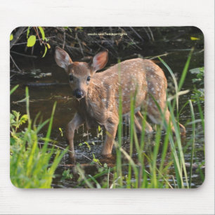 Virginia Deer Fawn Baby Animal Wildlife Foto verlo Mousepad