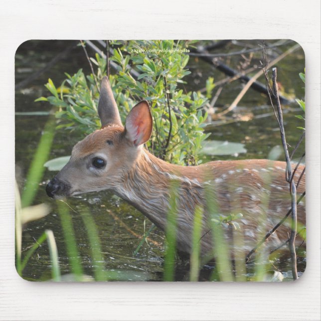 Virginia Deer Fawn Baby Animal Wildlife Foto verlo Mousepad (Vorne)