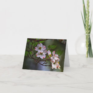 Virginia Dogwood Karte