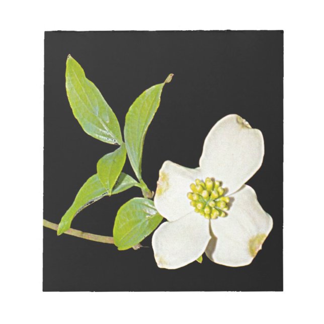 Virginia Dogwood Notizblock (Vorderseite)