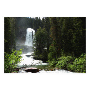 Virginia Falls at Glacier National Park Fotodruck