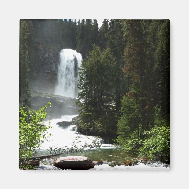 Virginia Falls at Glacier National Park Magnet (Vorne)