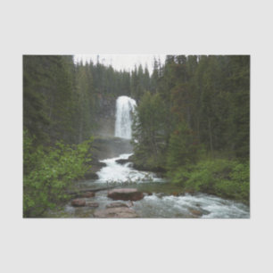 Virginia Falls im Glacier-Nationalpark Seidenpapier