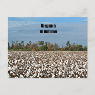 Virginia im Herbst Postkarte