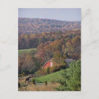 Virginia im Herbst Postkarte