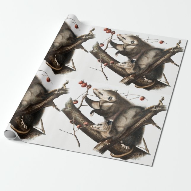 Virginia Opossum Didelphis Virginia Illustration Geschenkpapier (Ungerollt)